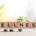 Wellness sign with wooden cubes and flowers and stones