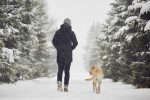 National Dog Walking Month – The benefits to your pooch and your mental health