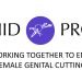 orchid project logo
