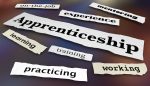 An apprenticeship in Practice Management – There’s a thought! – By Nicola Davies