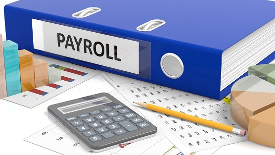 Payroll Software & Services